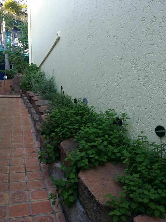 Reef Lodge Backpackers Townsville Esterno foto